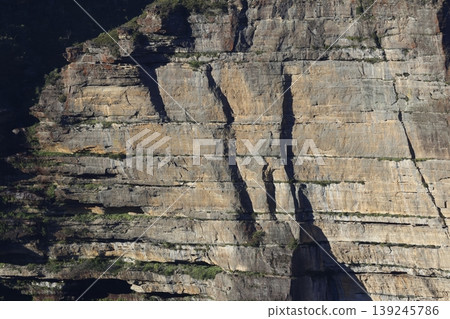 Cliff in the Blue Mountains. Cliff in the Blue Mountains. 139245786