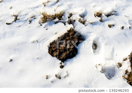 Desolate winter scene displaying exposed soil and grit through receding ice surface Desolate winter scene displaying exposed soil and grit through receding ice surface 139246293