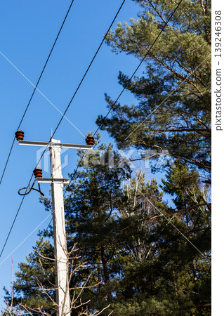 Utility poles made of wood carrying powerlines surrounded by lush pine trees and sky Utility poles made of wood carrying powerlines surrounded by lush pine trees and sky 139246308