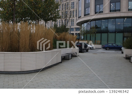 City park scene. Silent pedestrian walkway surrounded by contemporary design and nature City park scene. Silent pedestrian walkway surrounded by contemporary design and nature 139246342
