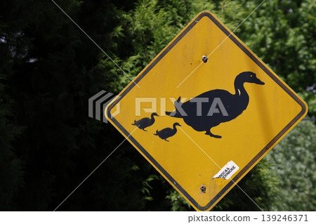 Duck crossing sign. Duck crossing sign. 139246371