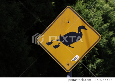 Duck crossing sign. 139246372