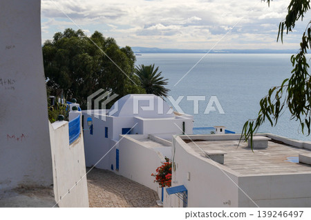 Landscape of Sidi Bou Said, Tunis, Tunisia Landscape of Sidi Bou Said, Tunis, Tunisia 139246497