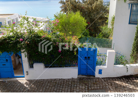 Landscape of Sidi Bou Said, Tunis, Tunisia Landscape of Sidi Bou Said, Tunis, Tunisia 139246503