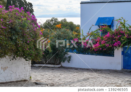 Landscape of Sidi Bou Said, Tunis, Tunisia Landscape of Sidi Bou Said, Tunis, Tunisia 139246505