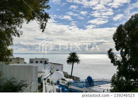 View of the Gulf of Tunis from Sidi Bou Said in Tunis, Tunisia. 139246523