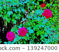 Rose bush 139247000