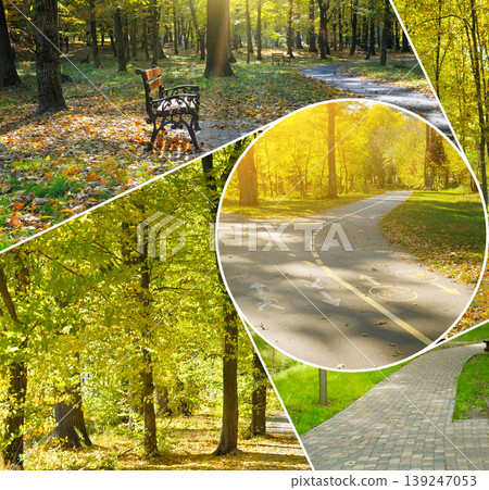 Autumn City Park Collage with Golden Foliage and Paths Autumn City Park Collage with Golden Foliage and Paths 139247053
