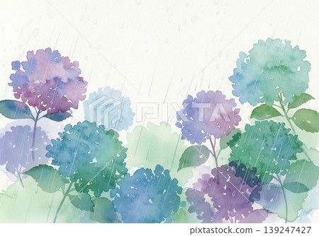 Watercolor-style hydrangeas and the rainy season image 139247427