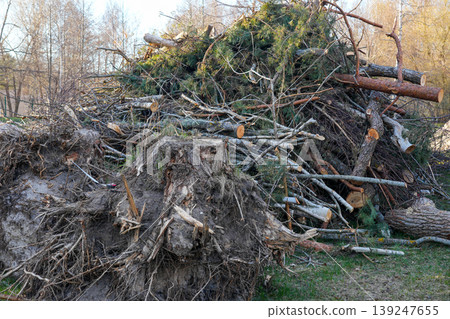 Pile of cut tree branches and uprooted stump after forest clearing and land maintenance work Pile of cut tree branches and uprooted stump after forest clearing and land maintenance work 139247655