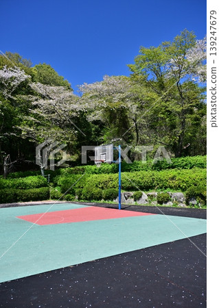 竹之丘公園(長崎縣大村市):以櫻花和杜鵑花而聞名。 竹之丘公園(長崎縣大村市):以櫻花和杜鵑花而聞名。 139247679