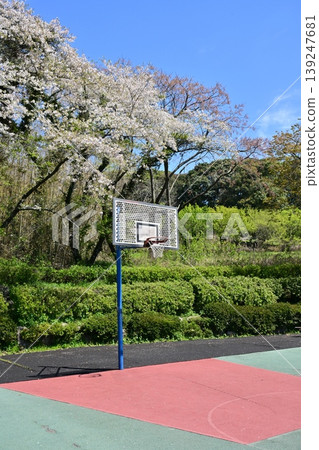 竹之丘公園（長崎縣大村市）：以櫻花和杜鵑花而聞名。 139247681