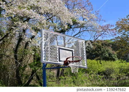 竹之丘公園（長崎縣大村市）：以櫻花和杜鵑花而聞名。 139247682