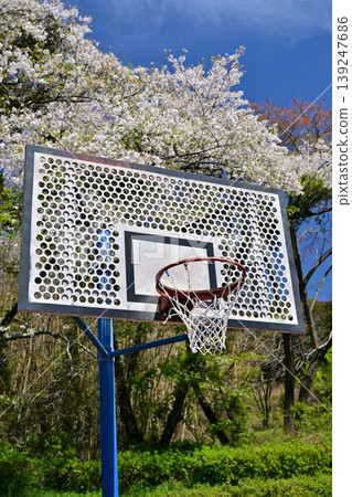 竹之丘公園(長崎縣大村市):以櫻花和杜鵑花而聞名。 竹之丘公園(長崎縣大村市):以櫻花和杜鵑花而聞名。 139247686