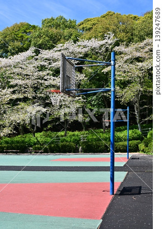Takenokoba Park (Omura City, Nagasaki Prefecture): Famous for cherry blossoms and azaleas. 139247689
