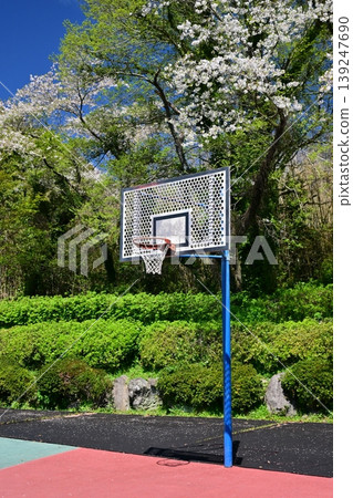 Takenokoba Park (Omura City, Nagasaki Prefecture): Famous for cherry blossoms and azaleas. Takenokoba Park (Omura City, Nagasaki Prefecture): Famous for cherry blossoms and azaleas. 139247690
