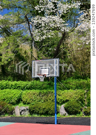 竹之丘公園（長崎縣大村市）：以櫻花和杜鵑花而聞名。 139247699