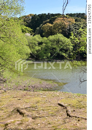 竹之丘公園（長崎縣大村市）：以櫻花和杜鵑花而聞名。 139247705