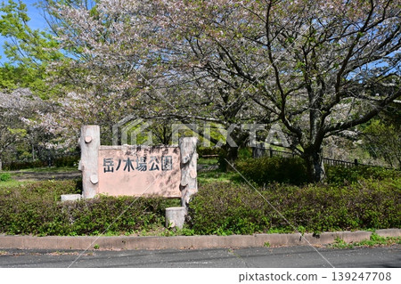 竹之丘公園（長崎縣大村市）：以櫻花和杜鵑花而聞名。 139247708