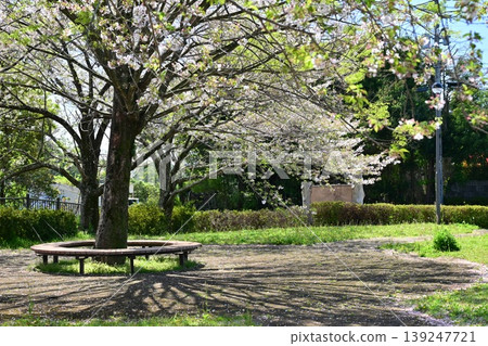 Takenokoba Park (Omura City, Nagasaki Prefecture): Famous for cherry blossoms and azaleas. Takenokoba Park (Omura City, Nagasaki Prefecture): Famous for cherry blossoms and azaleas. 139247721
