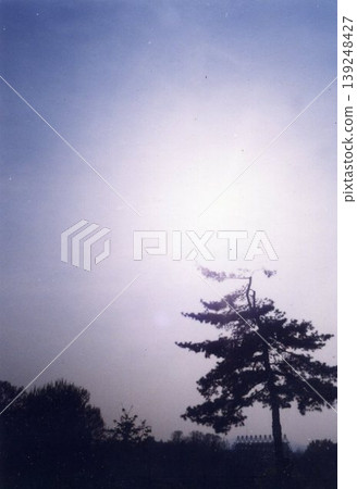 Sunlit Tree Silhouette Against Dawn Sky Sunlit Tree Silhouette Against Dawn Sky 139248427
