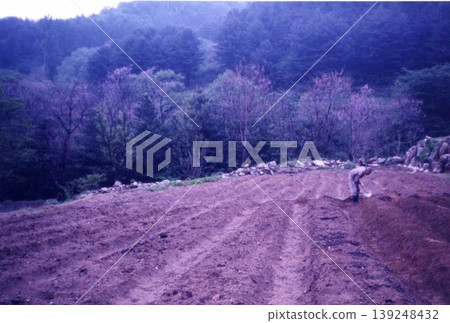 Farmer Tilling Field Amidst Forested Landscape Farmer Tilling Field Amidst Forested Landscape 139248432