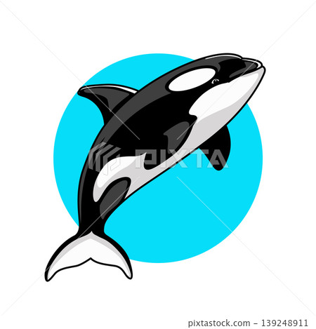 Playful orca illustration jumping over blue circle background. cartoon killer whale logo art Playful orca illustration jumping over blue circle background. cartoon killer whale logo art 139248911