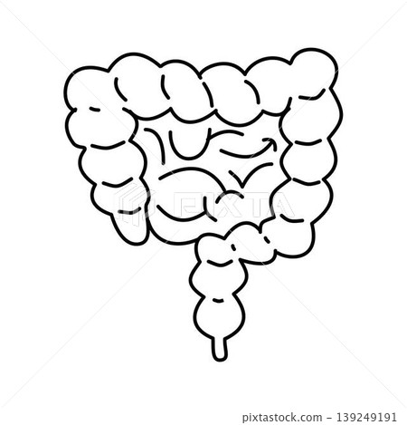 intestine outline icon intestine outline icon 139249191