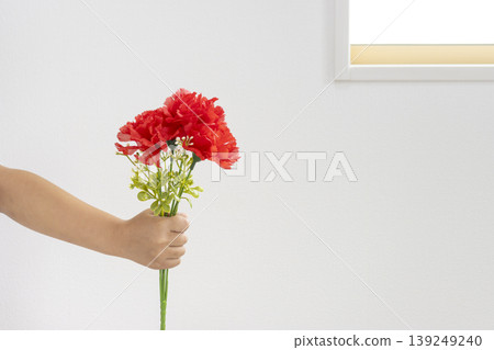 A girl's hand (5 years old, Japanese, face not visible) handing over an artificial red carnation. 139249240