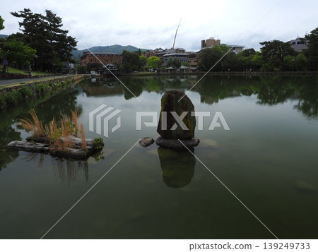 陰天之下，猿澤池的景色散發著寧靜祥和的氣息。 139249733