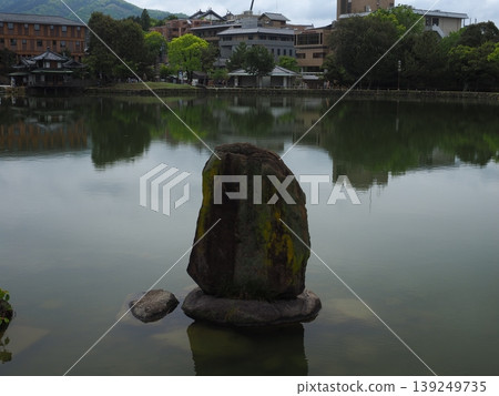 陰天之下，猿澤池的景色散發著寧靜祥和的氣息。 139249735