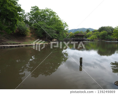 奈良古都清晨,一片寧靜。浮見堂矗立在鷺池岸邊,倒映在水面上,美不勝收。 奈良古都清晨,一片寧靜。浮見堂矗立在鷺池岸邊,倒映在水面上,美不勝收。 139249869