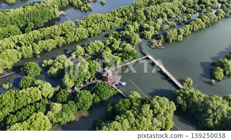 An aerial top-down perspective showcases a lush mangrove forest with clusters of dense green trees surrounded by calm, dark water, highlighting a thriving coastal ecosystem in a tropical region. An aerial top-down perspective showcases a lush mangrove forest with clusters of dense green trees surrounded by calm, dark water, highlighting a thriving coastal ecosystem in a tropical region. 139250038