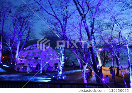 Chitose River Cherry Blossom Line 139250055