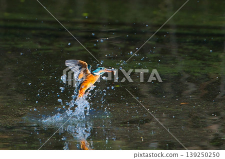 A spectacular takeoff 139250250