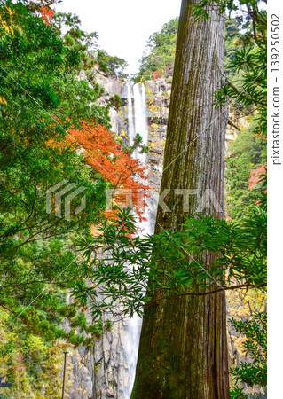Nachi Falls Nachi Falls 139250502