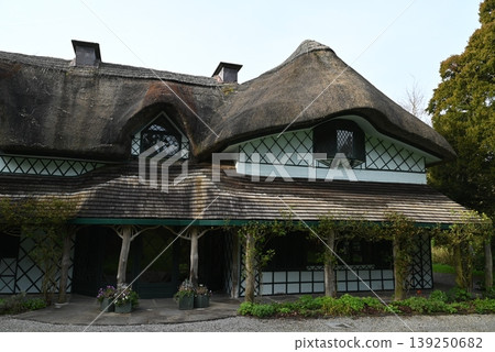 [愛爾蘭關懷] 瑞士小屋 139250682