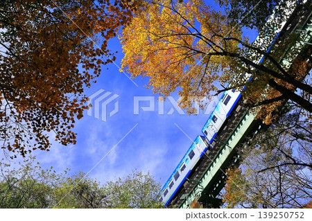 The Koumi Line runs through the autumn foliage - HighRail1375 The Koumi Line runs through the autumn foliage - HighRail1375 139250752