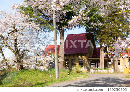 Cherry blossoms at Atsushio Station on the former JNR Nichu Line, Fukushima Prefecture 139250803