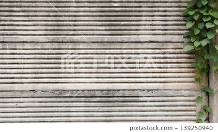 Green Vines on Striped Concrete Walls Green Vines on Striped Concrete Walls 139250940
