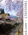 Cherry blossoms in bloom, a village of thatched-roof houses, and Mount Fuji. 139250981