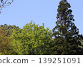 Miyama, Kyoto Prefecture: A village of thatched roofs, a scenic view. 139251091