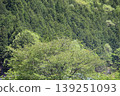 Miyama, Kyoto Prefecture: A village of thatched roofs, a scenic view. 139251093