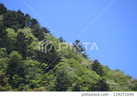 Miyama, Kyoto Prefecture: A village of thatched roofs, a scenic view. Miyama, Kyoto Prefecture: A village of thatched roofs, a scenic view. 139251098
