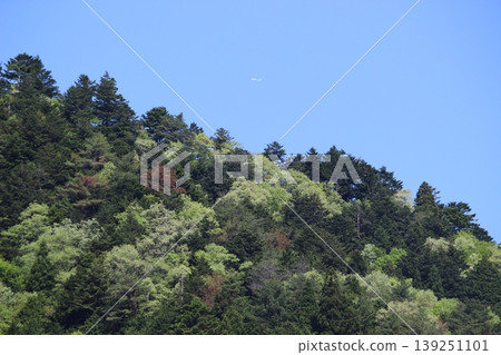 Miyama, Kyoto Prefecture: A village of thatched roofs, a scenic view. Miyama, Kyoto Prefecture: A village of thatched roofs, a scenic view. 139251101