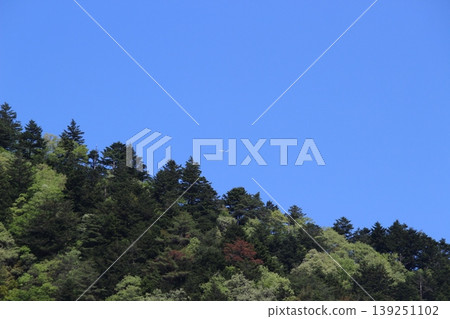 Miyama, Kyoto Prefecture: A village of thatched roofs, a scenic view. 139251102