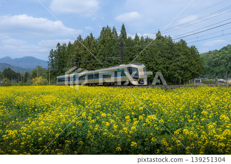 強姦花朵和火車 強姦花朵和火車 139251304