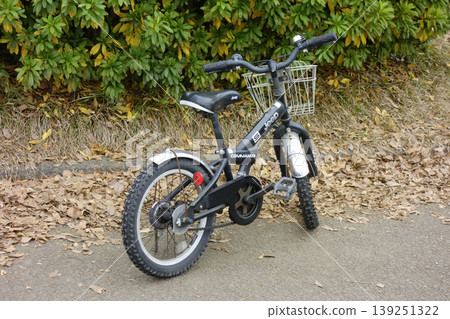 Motorcycles parked in the park Motorcycles parked in the park 139251322