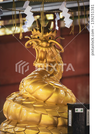 Nikko Toshogu Nikko Toshogu 139251381