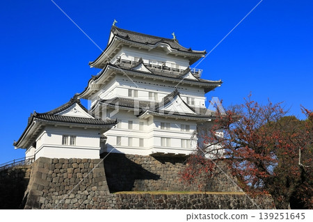 A castle tower staring in the blue sky 139251645